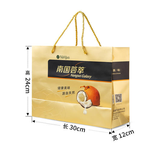南国礼袋多尺寸春节年货送礼 商品图3