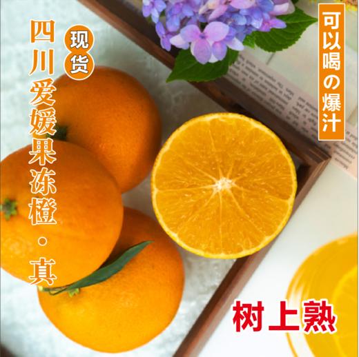四川爱媛果冻橙5斤装【分仓直发，72小时发货，周末节假日不发货】 商品图0