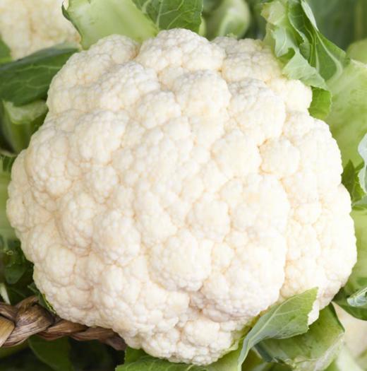 【QT】新鲜花椰菜 ,白花菜,菜花香甜可口 商品图1