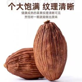 【SF】草果 正宗云南草果卤肉香料炖肉调料