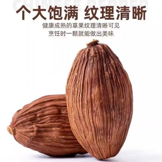 【SF】草果 正宗云南草果卤肉香料炖肉调料 商品图0