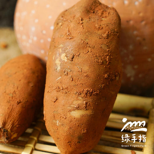 生态雪莲果（邮政空运） | 合作生产*  Ecological yacon | Partner Production 商品图2