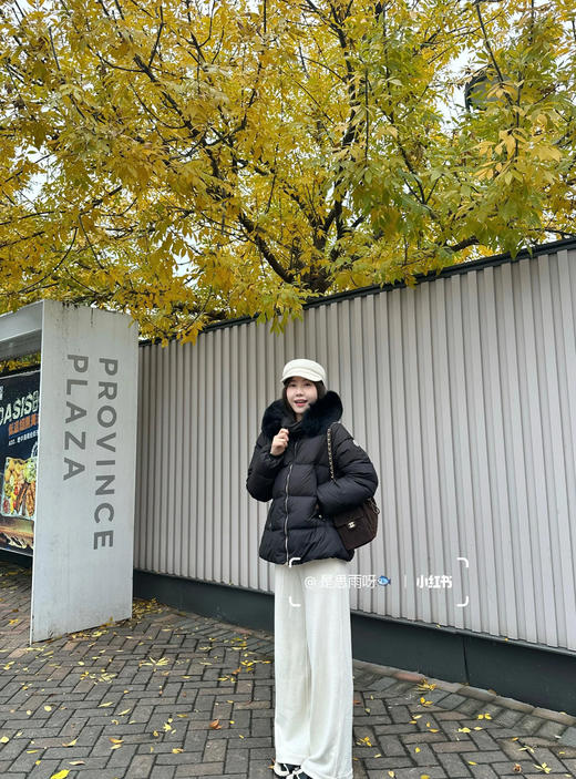 蒙口 Laichefur羽绒服(SS) 商品图4