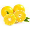 ZW福建漳州平和葡萄柚A级果4.5斤（送榨汁杯）【分仓直发，72小时发货，周末节假日不发货】 商品缩略图0