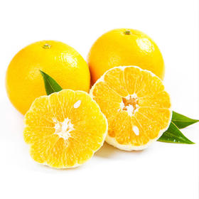 ZW福建漳州平和葡萄柚A级果4.5斤（送榨汁杯）【分仓直发，72小时发货，周末节假日不发货】