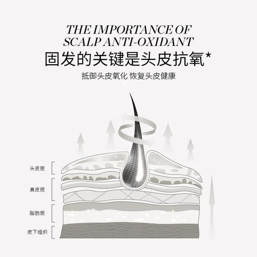 美国RevitaLash丰盈强韧洗发护发套装【郑州仓】 商品图4