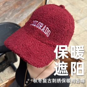 壁虎瑜伽【2512PJ481】 秋冬复古刺绣保暖鸭舌帽（5天发货）