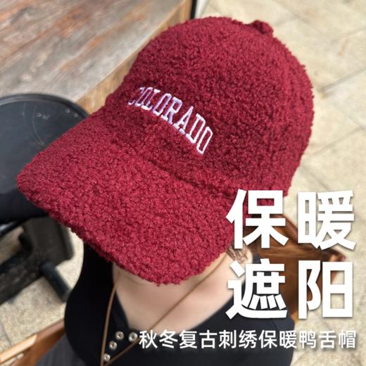 壁虎瑜伽【2512PJ481】 秋冬复古刺绣保暖鸭舌帽（5天发货） 商品图0