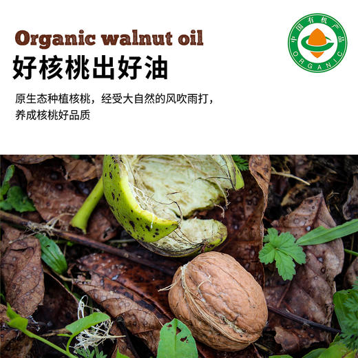 【有机核桃油】250ml/1L, 野生铁核桃油冷榨加工宝宝辅食调料 商品图2