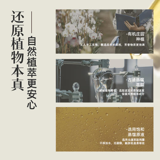 七修良品  大马士革玫瑰纯露 商品图4