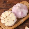 【ZCWJ】精选多瓣蒜干大蒜 商品缩略图2