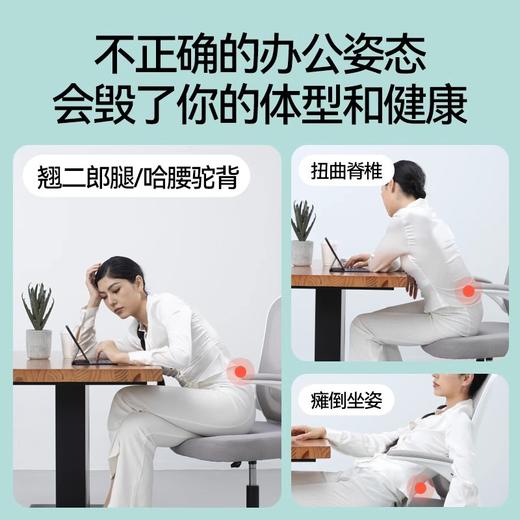 顶博士D.BOSHI小腰果护腰坐垫腰靠坐垫二合一 商品图4