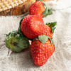 严选 | 大凉山露天草莓 大果草莓 商品缩略图4