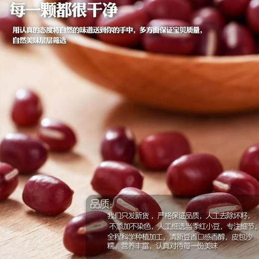 【SF】红小豆 红豆薏米煲粥五谷杂粮 商品图2