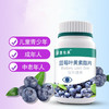 蓝莓叶黄素酯片 植物净素配方 咀嚼片 商品缩略图0