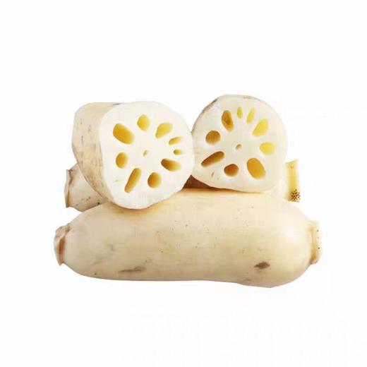 【ZCWJ】新鲜莲藕脆藕 商品图0