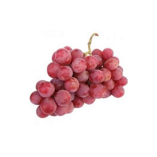 大连红提(500±50g) 葡萄 提子 商品图0