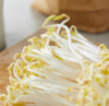 【QT】新鲜清水泡发绿豆芽 商品缩略图2