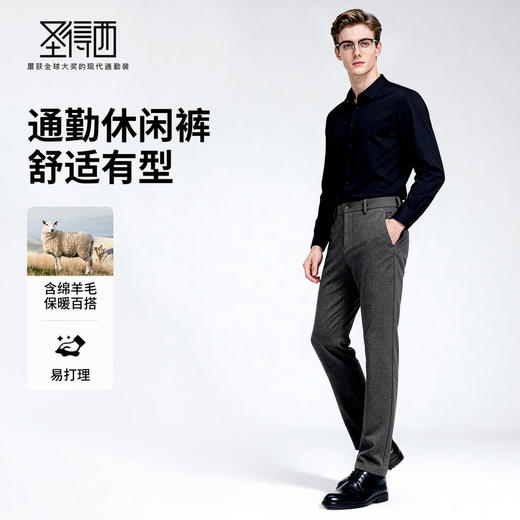 【含绵羊毛】圣得西2025年冬季男款休闲长裤时尚都市商务直筒裤 商品图3
