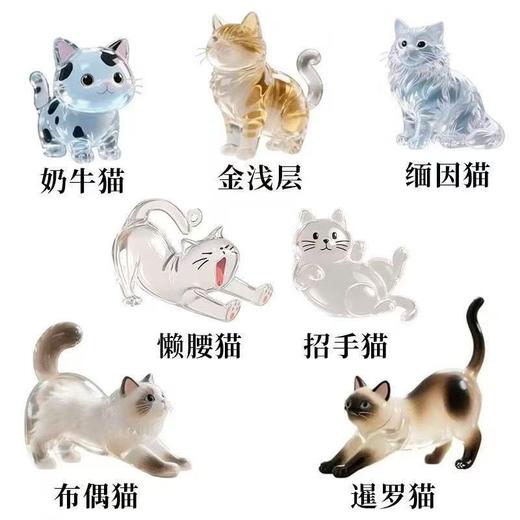 【随身带❗️猫毛收纳挂件】给心爱的猫猫毛发收集起来，造型萌款式可爱，随时随地陪着你，扭蛋猫咪跨境毛发存放胶囊包钥匙扣挂件纪念QQ 商品图1