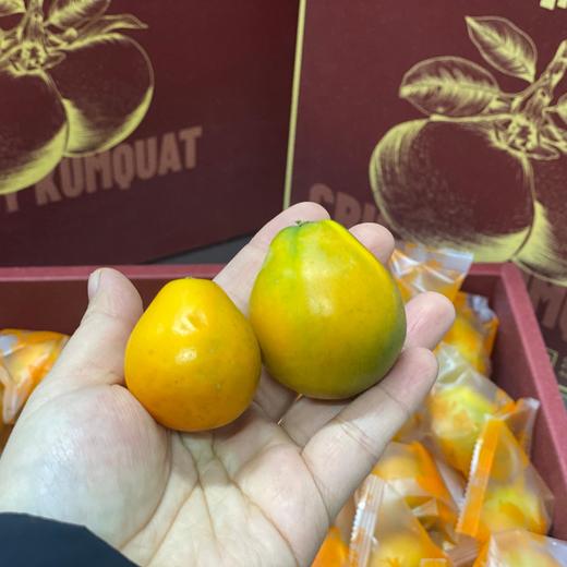 【脆蜜金柑礼盒装】一改传统金桔的酸，犹如天然糖果，入口甜而不涩，果味浓郁。中果/大果礼盒可选，江浙沪皖顺丰包邮~ 商品图5