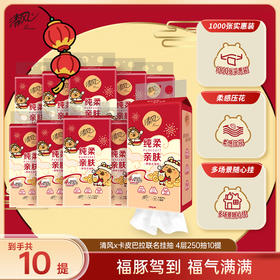 【官方自营】清风挂抽4层250抽10提送挂钩新年限定卡皮巴拉联名