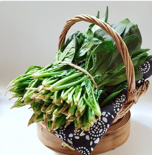 【QT】新鲜蔬菜菠菜当季火锅配菜 商品图1