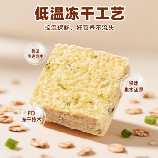 无名小厨 皮蛋瘦肉粥 冻干冲泡即食粥46g 商品图2