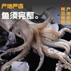 深海野生原浆大鱿鱼🦑【顺丰发货】 商品缩略图6