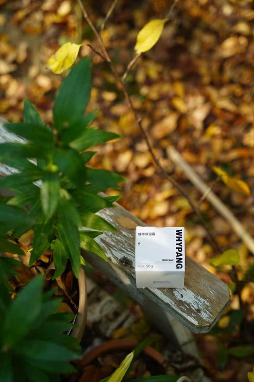 臻萃保湿霜 50g 商品图1