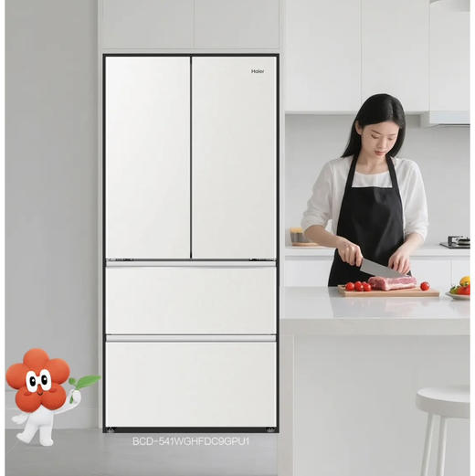 海尔（Haier）冰箱 BCD-541WGHFDC9GPU1 商品图0