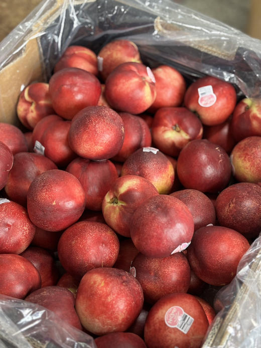 澳洲白油桃 硬脆鲜甜 桃味十足 商品图1