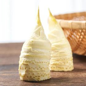 【2025冬日时令美味 临安高山冬笋】 产自临安天目山 现寻现发 鲜嫩清甜 出肉率高 颗颗饱满 泡沫箱+冰袋的专业锁鲜包装 新鲜到家