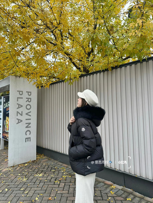 蒙口 Laichefur羽绒服(SS) 商品图3