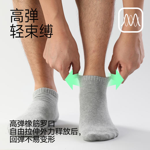 【小杨臻选】7A抗菌棉袜 7双/盒 正宗新疆长绒棉 商品图4