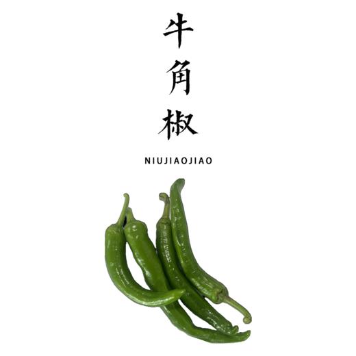 合作 | 牛角椒 商品图0