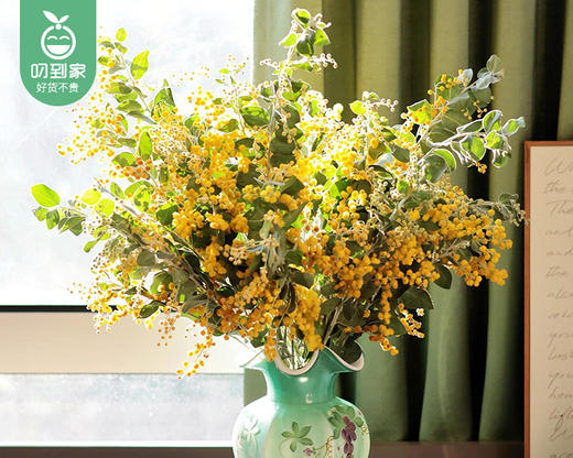【预售-12月29日配送】金合欢花束/1扎（3-5枝） 商品图2