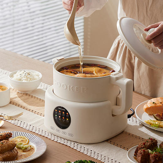 Apixintl安本素电饭煲家用3L2025新款1-3人多功能电饭锅APIX-RC08 商品图3