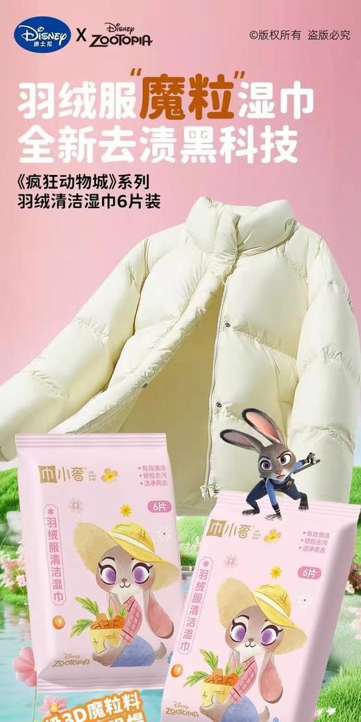 疯狂动物城羽绒服湿巾10元5包 商品图0
