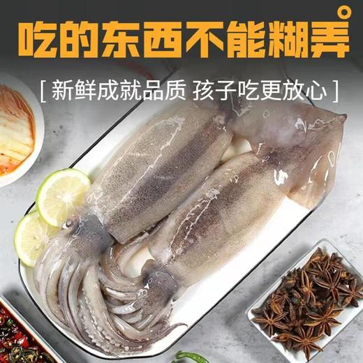 深海野生原浆大鱿鱼🦑【顺丰发货】 商品图3