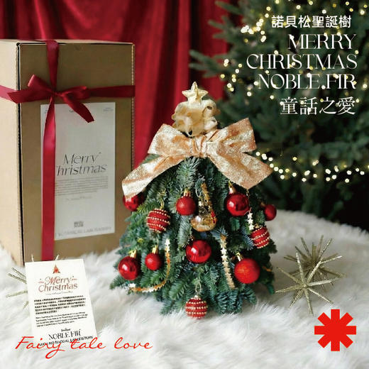 30cm 丹麦诺贝松圣诞树🎄（当日现货） 商品图2