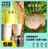 青青自种青萝卜和白萝卜，4.5斤包邮 商品缩略图0