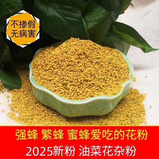 2025年新鲜采摘！青海高原油菜花粉食用蜂花粉 商品图3