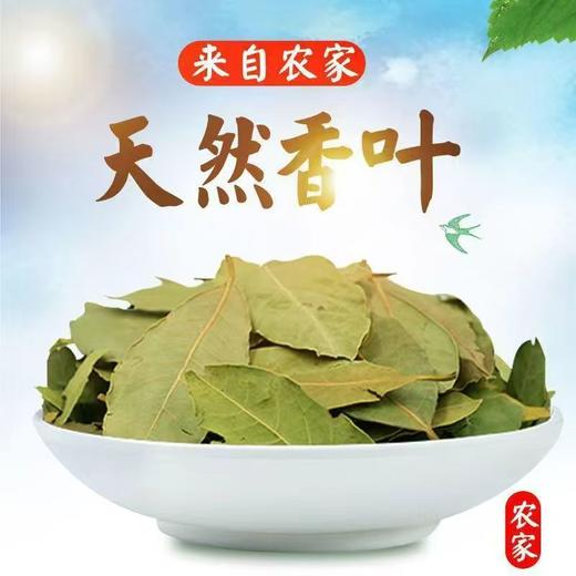 【SF】新货卤料炖肉广西香叶天然月叶香料卤料调料商用调味 【无硫新货】 商品图3