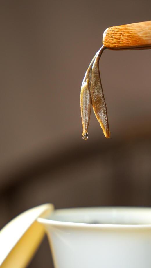 【昔归白毫针】2025年临沧昔归白毫银针！过年茶礼丨首选本品昔归白毫针500克/箱 商品图3