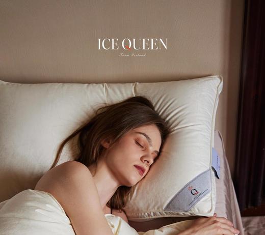 【意大利真丝面料】ICE QUEEN 女王真丝纯鹅绒枕芯  48*74cm 商品图0