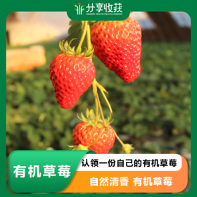 【预售】认领一份自己的有机草莓 | 优先吃草莓 自然清香 |  * Organic Strawberry