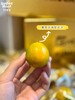 【觅趣小铺·匠心极-金桔】冰糖脆皮橘！皮薄肉嫩多汁带糖心，纯甜不酸涩～ 商品缩略图9