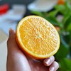 YGX赣南脐橙特级果4.5斤彩箱装【分仓直发，72小时发货，周末节假日不发货】 商品缩略图4