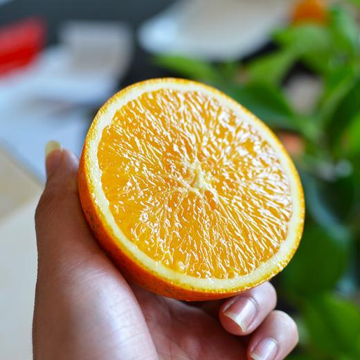 YGX赣南脐橙特级果4.5斤彩箱装【分仓直发，72小时发货，周末节假日不发货】 商品图4